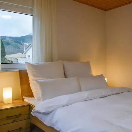 Sonnenglueck Im Schwarzwald With Panoramaview, Terrace, 3 Bedrooms * Bad Peterstal-Griesbach
