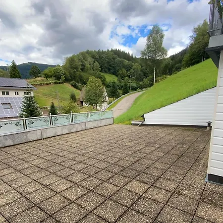 Sonnenglueck Im Schwarzwald With Panoramaview, Terrace, 3 Bedrooms Bad Peterstal-Griesbach