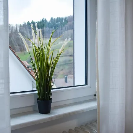 Sonnenglueck Im Schwarzwald With Panoramaview, Terrace, 3 Bedrooms *