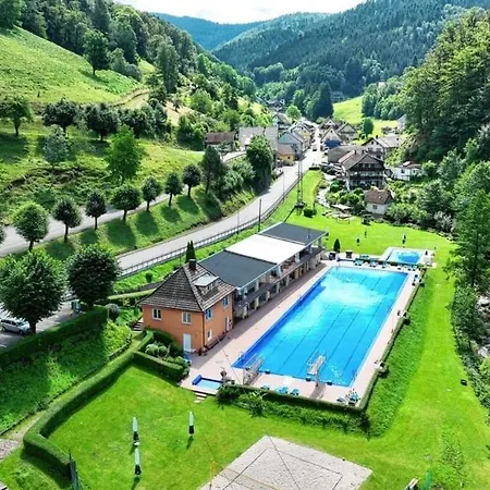 Sonnenglueck Im Schwarzwald With Panoramaview, Terrace, 3 Bedrooms * Bad Peterstal-Griesbach