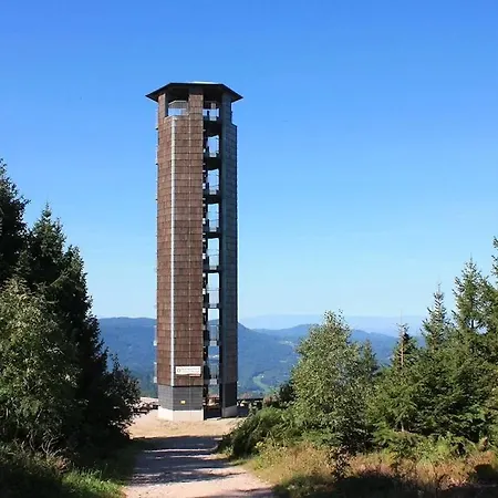 Sonnenglueck Im Schwarzwald With Panoramaview, Terrace, 3 Bedrooms Apartment Bad Peterstal-Griesbach