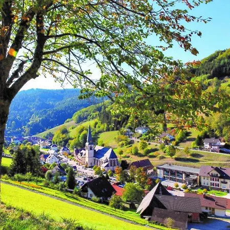 Sonnenglueck Im Schwarzwald With Panoramaview, Terrace, 3 Bedrooms Bad Peterstal-Griesbach