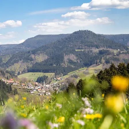 Sonnenglueck Im Schwarzwald With Panoramaview, Terrace, 3 Bedrooms Apartment *