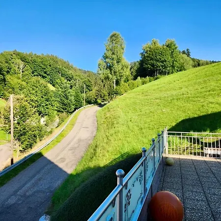 Sonnenglueck Im Schwarzwald With Panoramaview, Terrace, 3 Bedrooms Apartment *