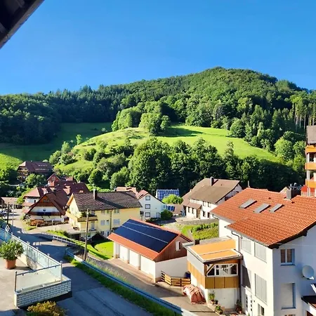 Sonnenglueck Im Schwarzwald With Panoramaview, Terrace, 3 Bedrooms Apartment *